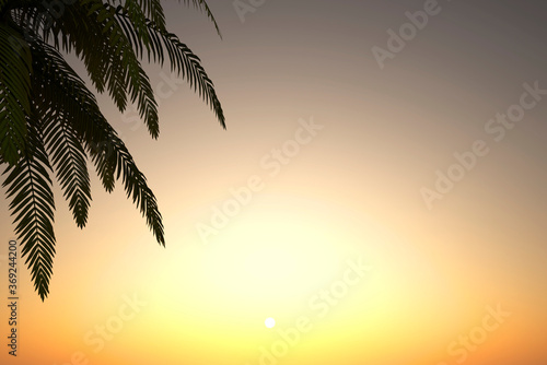 beautiful landscape with palm tree in front of sunset and sky background - 3D Illustration