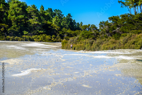 
Waiotapu, also spelt Wai-O-Tapu is an active geothermal area at the southern end of the Okataina Volcanic Centre. It is 27 kilometres south of Rotorua. It's in the north of the New Zealand.  photo