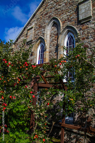 Church Apple Orchard 