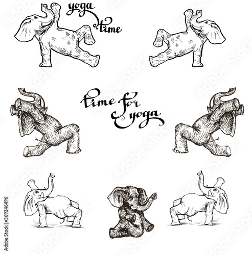 elephants doing yoga in various poses illustration in the style of engraving