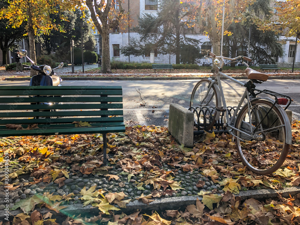 A bike parked by road in a city during autumn