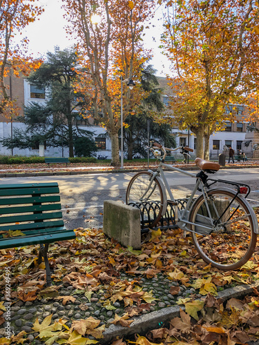 bicycle parked by road in a city during autumn
