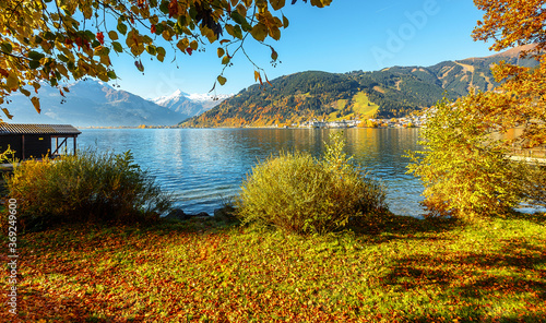 Fototapeta Naklejka Na Ścianę i Meble -  Landscape with Alps and Zeller See in Zell am See, Salzburger Land, Austria. Beautiful Sunny day in Alps. wonderlust view of highland lake With autumn trees under sunlight and perfect sky.