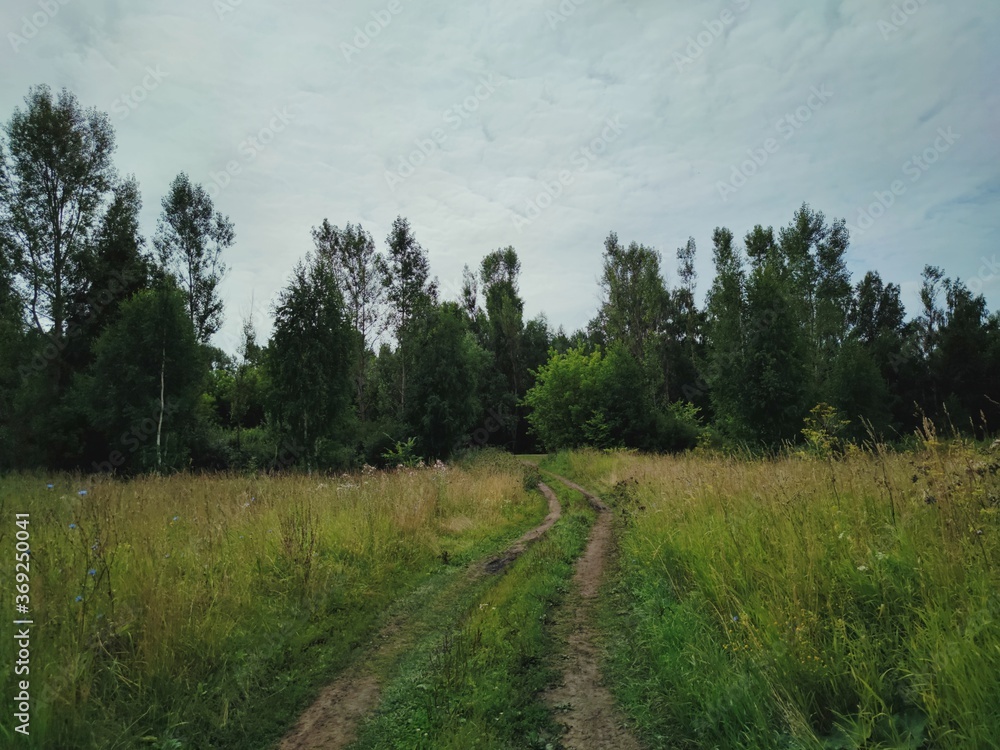 grassy road in a field near trees against a cloudy sky