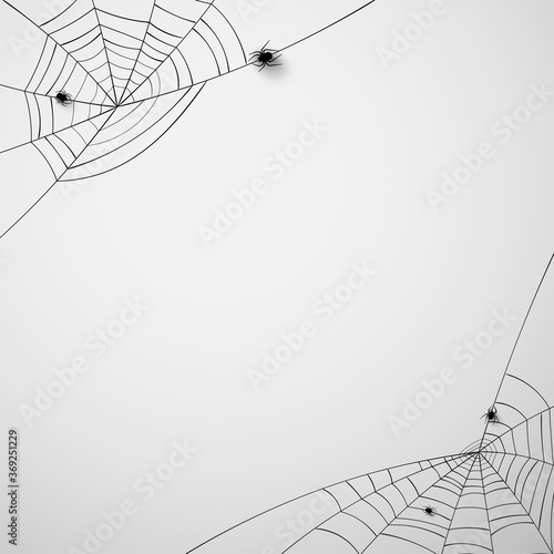 Spiderwebs with 3d crawling spider.