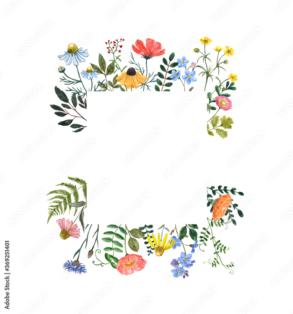 Beautiful and elegant wildflower border with hand painted summer meadow flowers, herbs, leaves, isolated on white background. Square botanical flower frame with daisy, poppy, cornflower, buttercups.