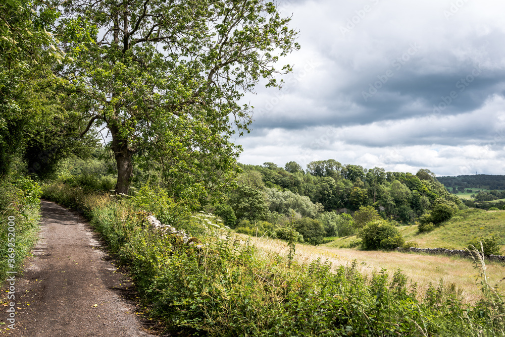 Fototapeta premium path in the field with clouds