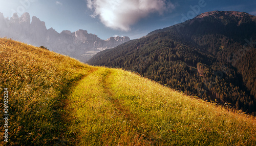 Beautiful countryside of Italy. Wonderful Sunny landscape. View on Alpine valley with fresh green grass  perfect sky  and majectic dolomites mountains on background. Rural agriculture concept