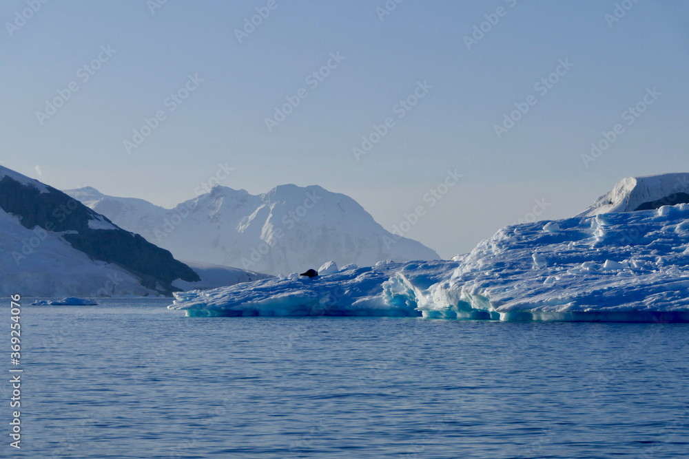 Antarctic landscape, blue ice in sun with seal, glaciers, mountains, Antarctica