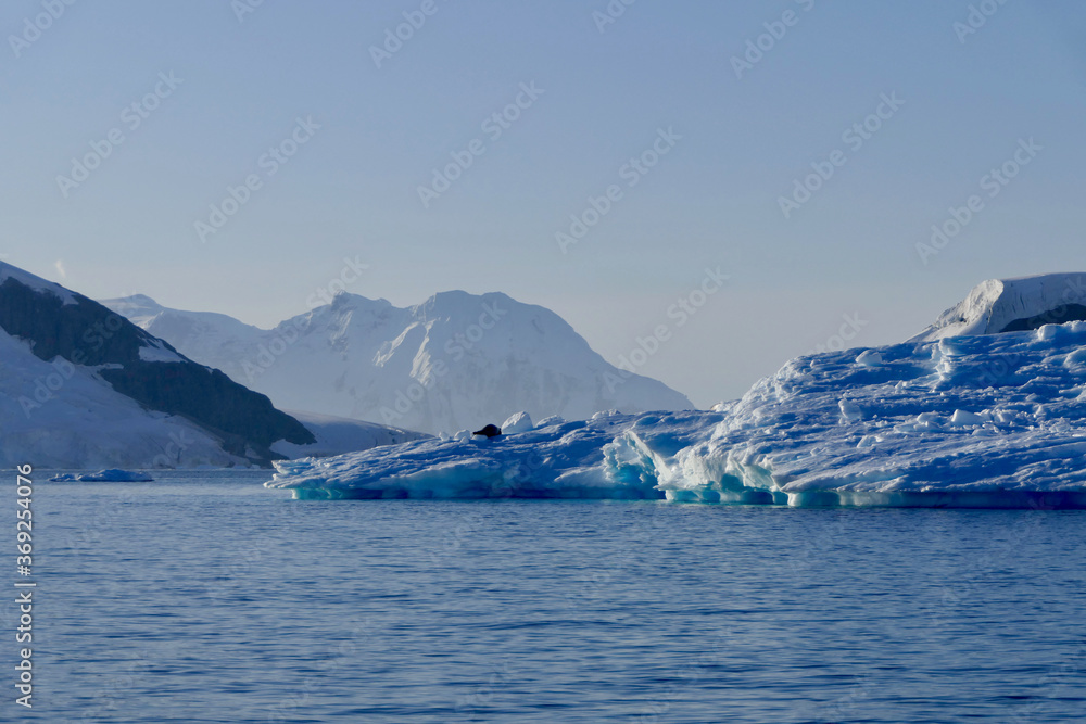 Antarctic landscape, blue ice in sun with seal, glaciers, mountains, Antarctica Antarctic landscape, blue ice in sun with seal, glaciers, mountains, Antarctica