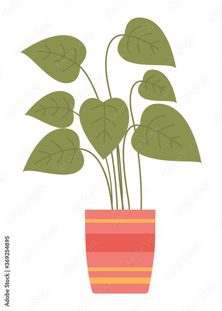 Obraz premium Pot with houseplant isolated at white background. Vector flowerpot of decorative green plant with short leaves in ceramic pot. Indoor plant concept of domestic greenery. Icon for home interior plant