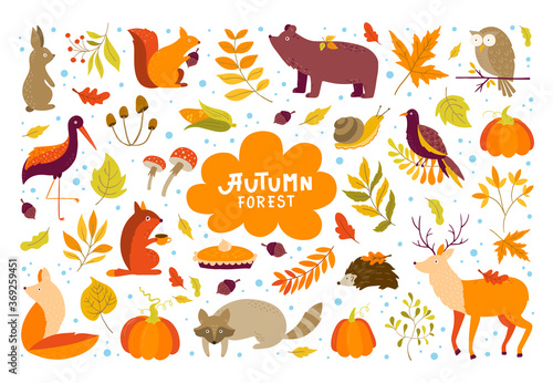 Set of Autumn cartoon characters, plants and leaves. Fall season