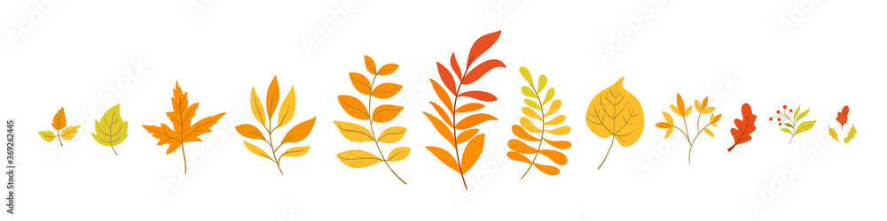 Autumn foliage elements in handdrawn style - aspen, oak, maple leaves Autumn foliage elements in handdrawn style - aspen, oak, maple leaves