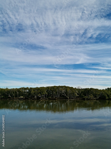 Beautiful view of a river with reflections of trees, deep blue sky and puffy clouds on water, Parramatta river, Rydalmere, Sydney, New South Wales, Australia 