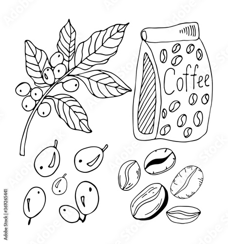 Coffee branch with leaf and berry, beans and bag art in doodles style. Hand drawing black outline vector illustration on white background for shop and cafe design.