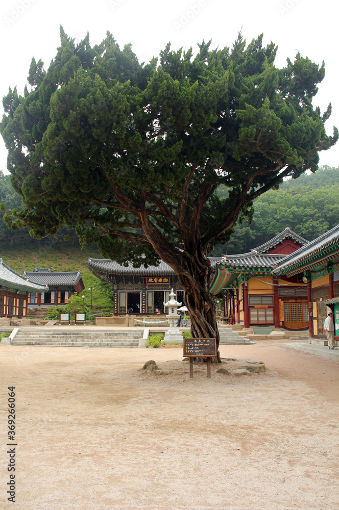 South Korea Eunhaesa Buddhist Temple