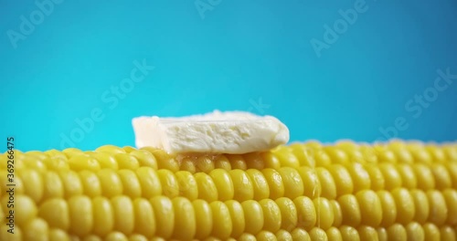 sweet farmhouse boiled corn and butter melt on it. close-up, studio shooting with macro lens