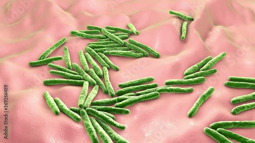 Bacteria Mycobacterium tuberculosis, the causative agent of tuberculosis, 3D animation photo