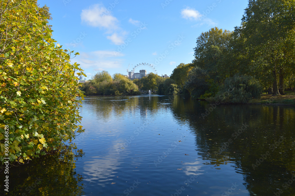 Obraz premium beautiful landscape with water green plants and bluesky with the london eye in the far background
