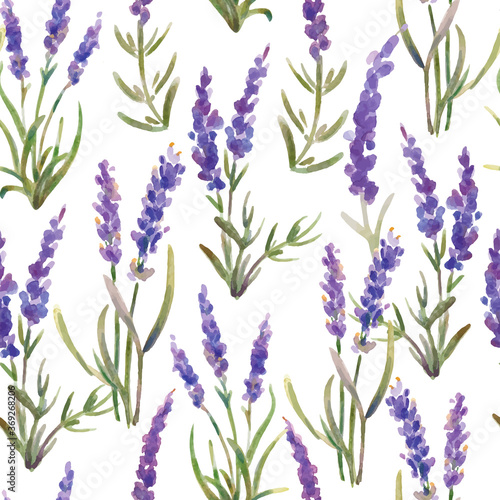 Vector illustration  seamless pattern of lavender flowers. Watercolor painting