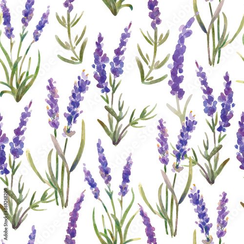 Vector illustration: seamless pattern of lavender flowers. Watercolor painting