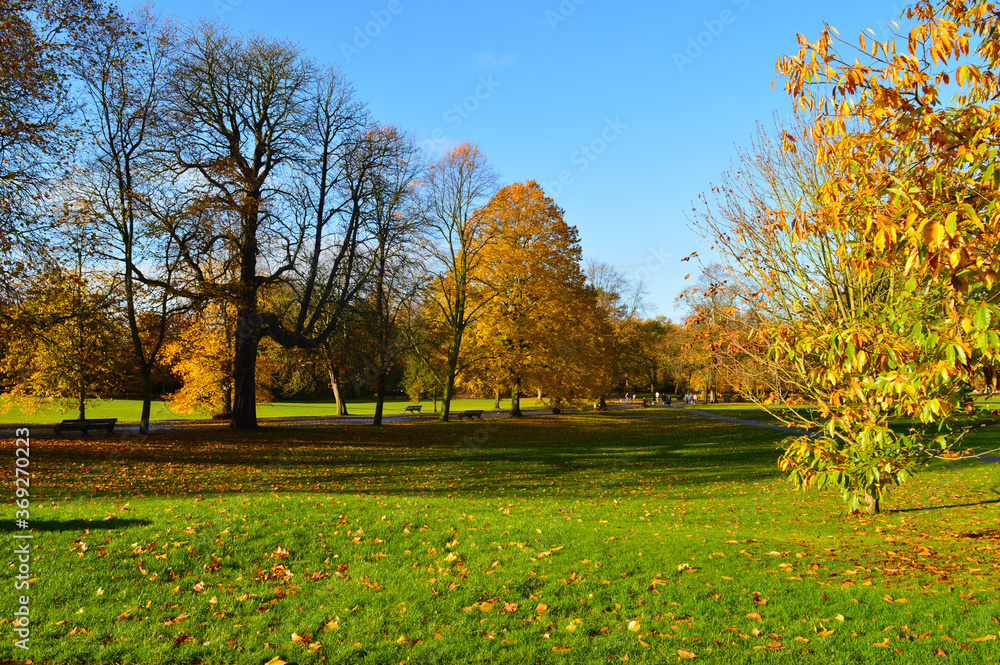 beautiful landscape with green grass colourful trees and bluesky suitable for a wallpaper beautiful landscape with green grass colourful trees and bluesky suitable for a wallpaper