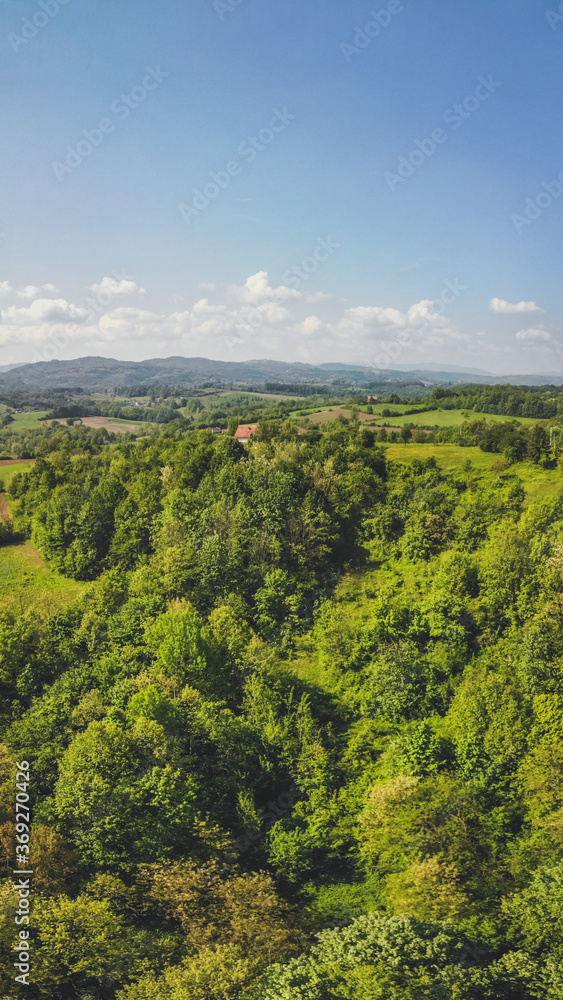 Drone top down aerial view of green forest on a hill.