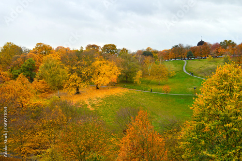 landscape showing many pathways amongst green grass and colourful trees from a distance