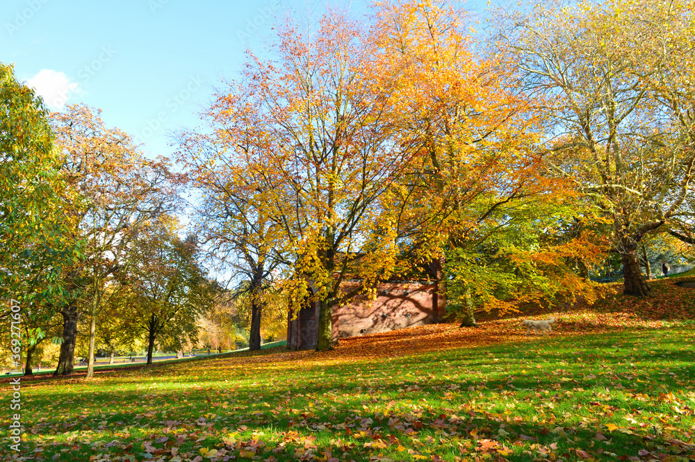 beautiful landscape with green grass colourful trees and blue sky suitable for a wallpaper beautiful landscape with green grass colourful trees and blue sky suitable for a wallpaper