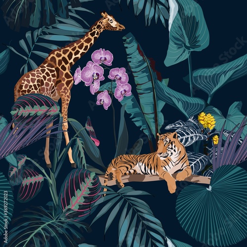 Fotomurale Tropical night vintage wild animals tiger and giraffe pattern, palm tree, palm leaves and plant floral seamless border black background