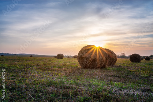 Amazing view with an autumn field full of hay bales and sun beams before sunset photo