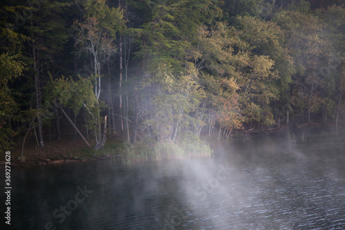 Morning mist with lake and trees