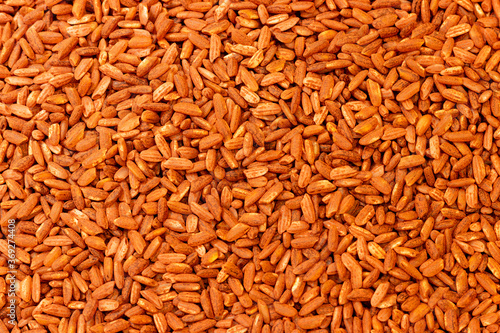 Uzbek rice devzira of red-brown color, intended for the preparation of pilaf.