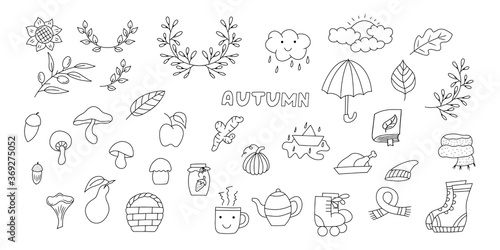 Doodle autumn set icon isolated on white. Hand drawing line art. Sketch mushroom  olive  umbrella  pumpkin etc. Vector stock illustration. EPS 10