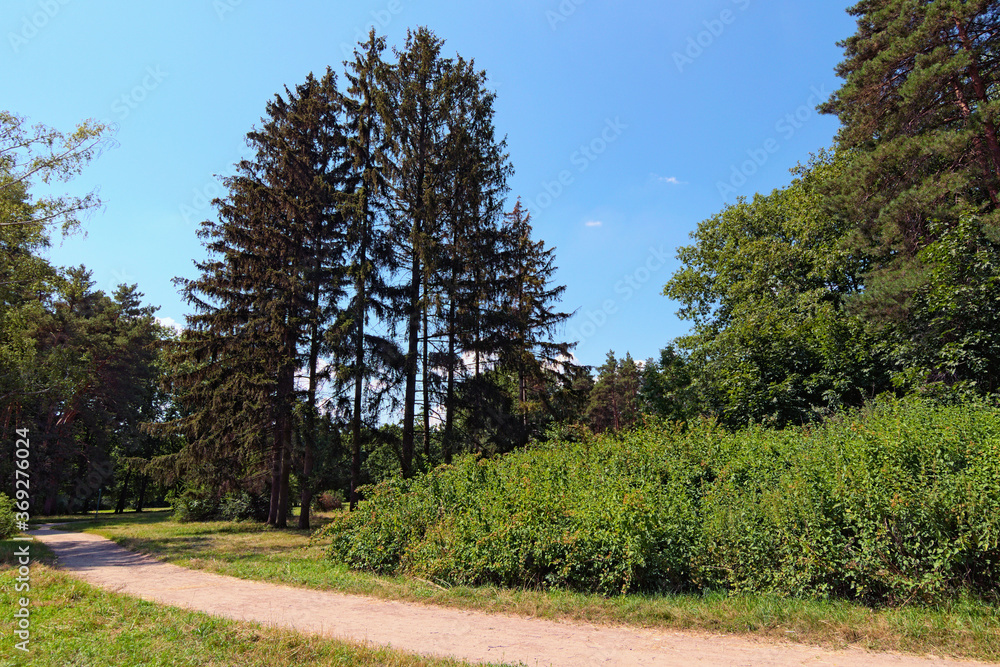 Obraz premium Picturesquel narrow and winding trail in Arboretum Alexandria in Bila Tserkva. Scenic nature landscape with old trees against blue sky. Summer sunny day. Concept of landscape and nature