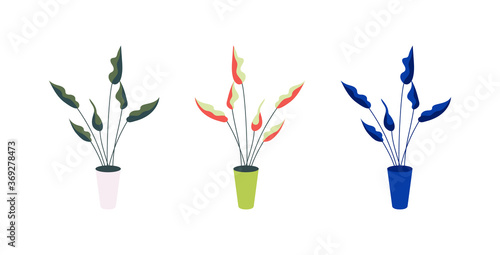 Plant in pot flat color vector objects set