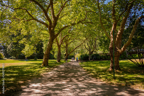 A woodland path in Stanley Park, Vancouver, British Columbia, Canada