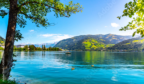 Fotografie Lake Zell, German: Zeller See, and mountains on the backround