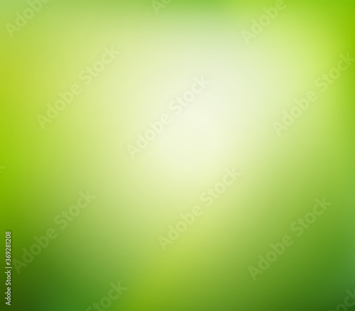 Green nature blurred background. Abstract gradient backdrop with light space for text. Vector illustration. Ecology concept for your graphic design  banner or poster