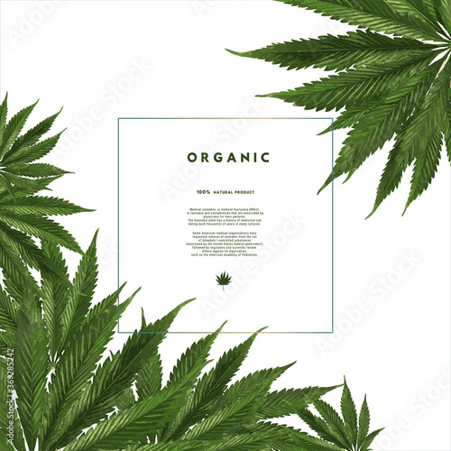 Medical cannabis leaf cover template for design, concept of organic natural bio product. Template for business, advertising, exhibition, party.