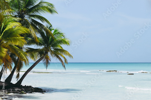 Fototapeta Naklejka Na Ścianę i Meble -  Caribbean paradise