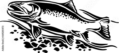 Brook trout