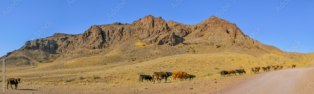 Fototapeta premium Allphotokz Tamgaly Tas 20060909 6004 5D PS