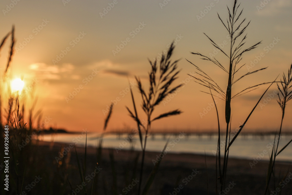 sunset at sea. variety of colors and hues of the rising sun