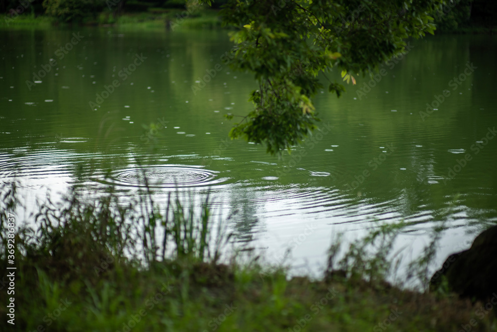 wave on a lake