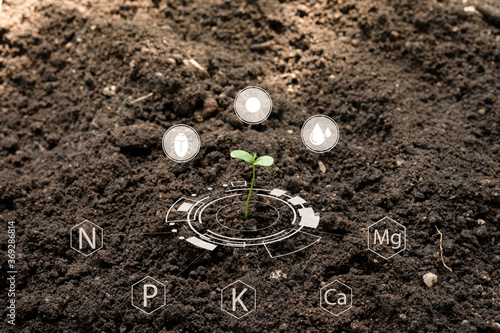 Seedlings grow from fertile soil with Icon digital attached along with other nutrients that are essential for plant growth. Concept of growth, care for the world Towards living things to nature.