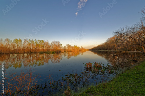 Obraz na płótnie The Golden rays of a setting sun reflected on the branches of Trees on the banks of Hale Lake at the Brazos Bend State Park in Texas