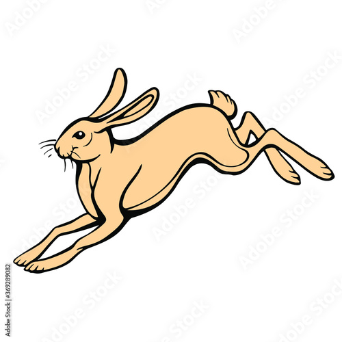 Jumping hare isolated on white. Hand drawn vector stock illustration.