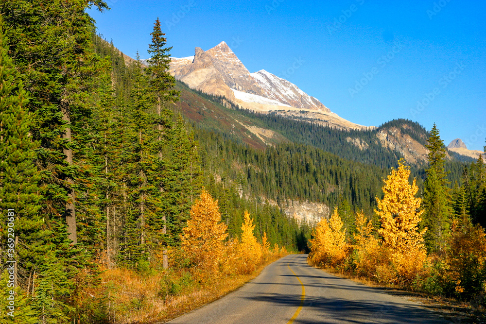 Unterwegs im Glacier National Park, Kanada Unterwegs im Glacier National Park, Kanada