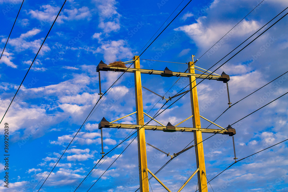 High Tension Power Lines High Tension Power Lines